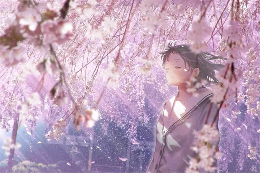 娱乐圈是我的广播剧资源泡芙下载免费收听