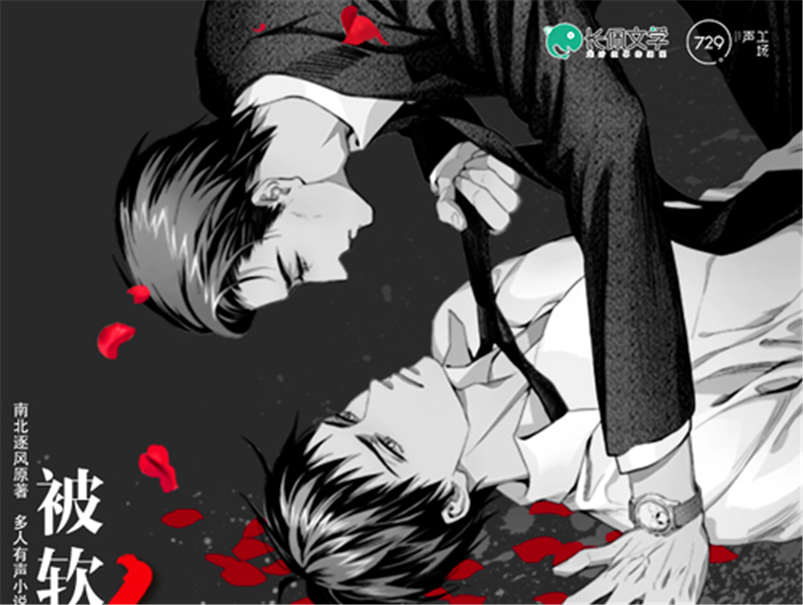 被软禁的红广播剧by南北逐风