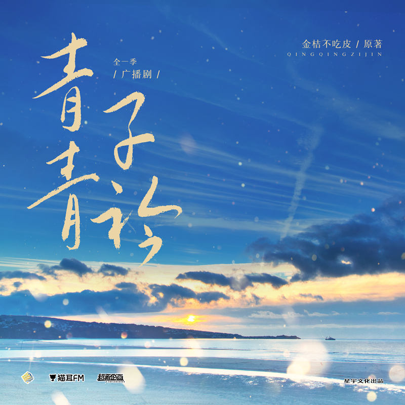 青青子衿全一季资源合集_现代都市广播剧《青青子衿》