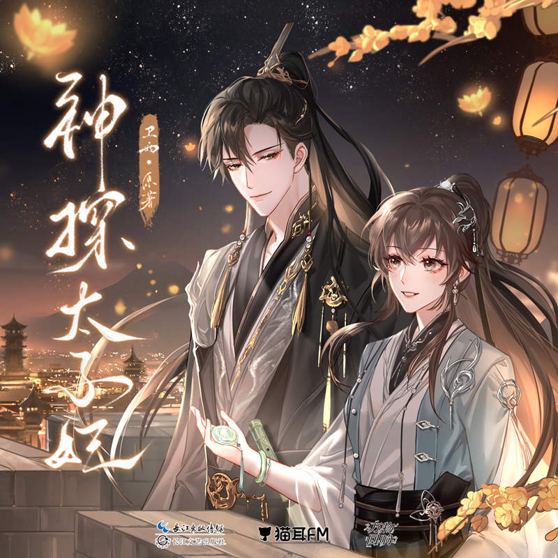 神探太子妃古风言情广播剧全集完整版_卫雨原著《神探太子妃》