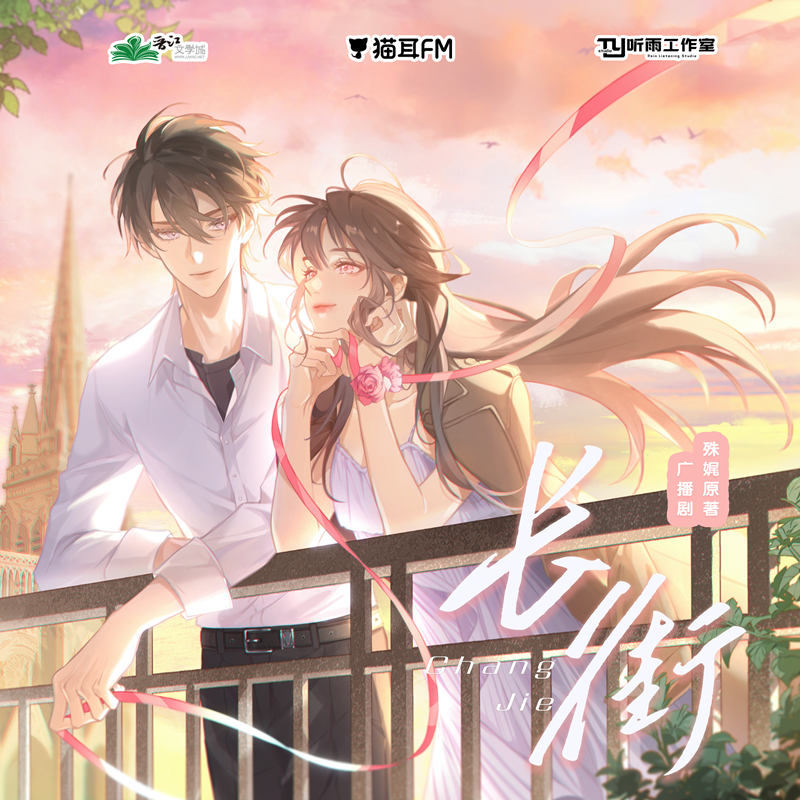 言情广播剧《长街》全一季资源完整版在线收听泡芙分享