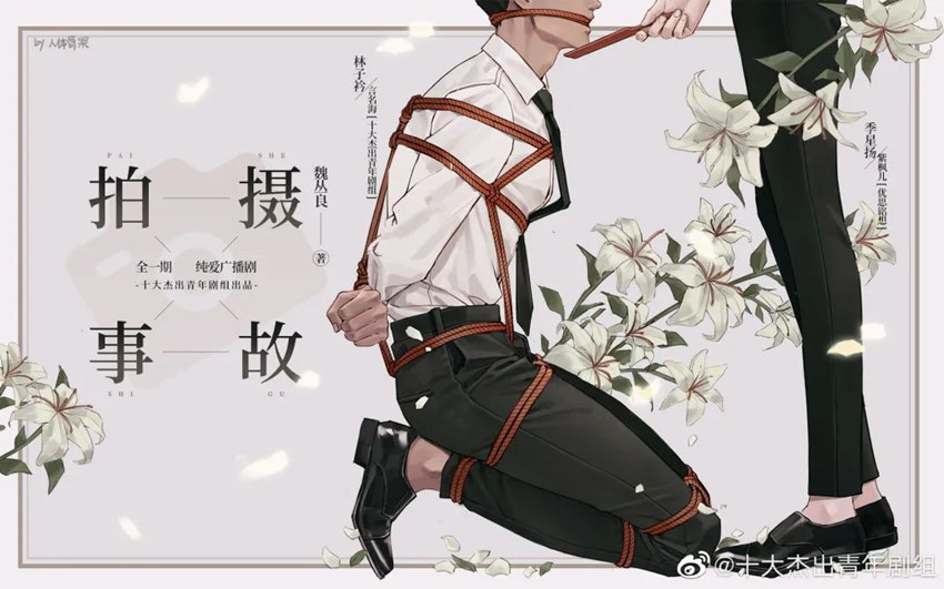 拍摄事故广播剧无删减完整版资源免费收听无偿（紫枫儿x言名海）