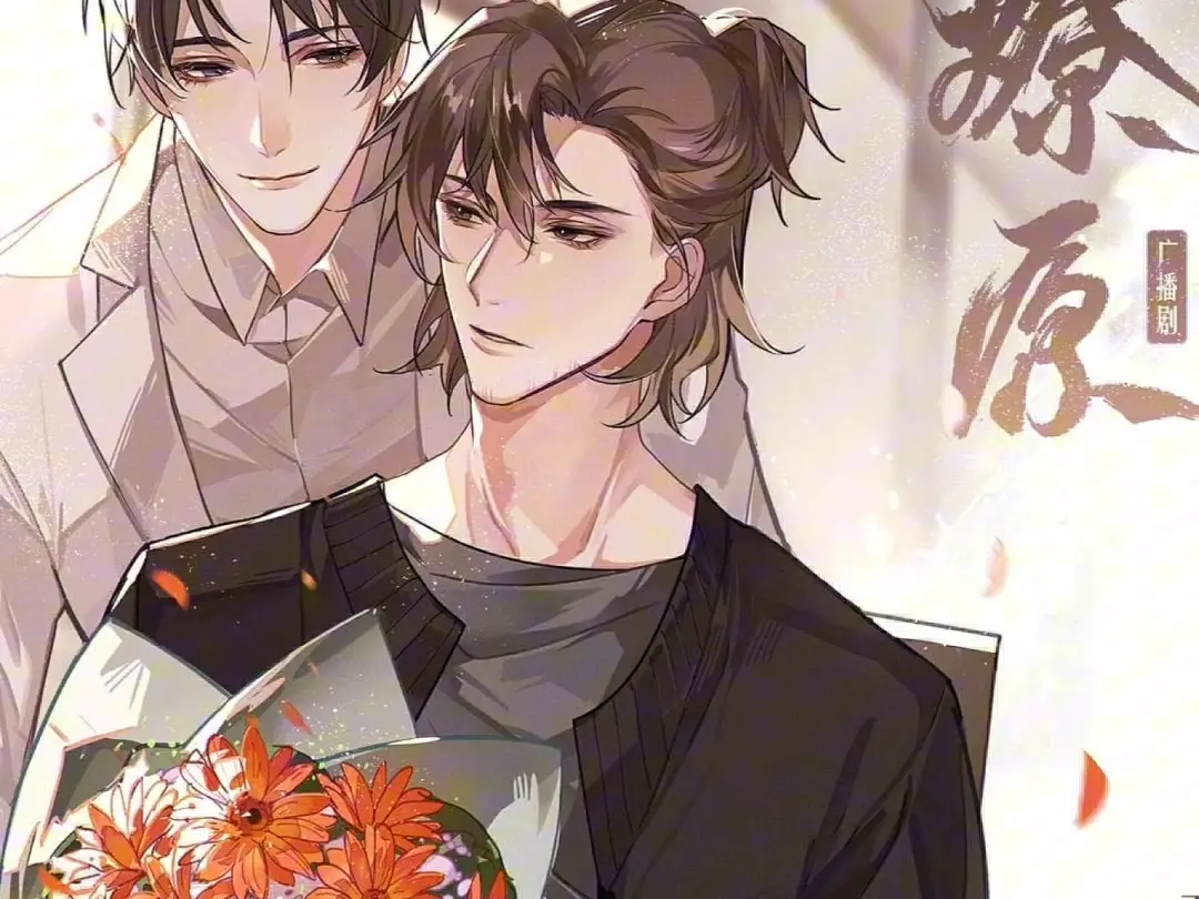 最新2025完结广播剧